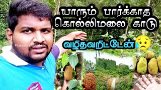 கொல்லிமலை காட்டுக்குள் பயணம் | epi - 3 | அன்னாசி பலா தோட்டம் | மாசிலா அருவி | trekking at kollihills