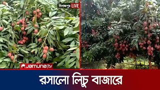 বাজার ভরপুর রসালো লিচুতে; ফলন কম বেদানা-চায়না থ্রি’র | Litchi