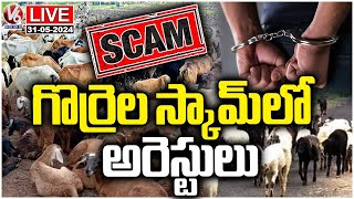 LIVE : ACB Speed Up Investigation In Sheep Distribution Scam Case | V6 News