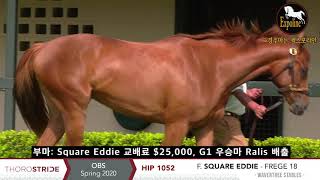 OBS 2세마 HIP 1052 암