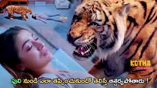 Raai Laxmi Saves Herself From Tiger Attack Telugu Movie Interesting Scene | Kotha Cinemalu