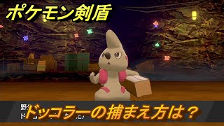 ポケモン剣盾　ドッコラーの出現場所は？オススメの場所は？天気は？ポケモン図鑑コンプへの道！　最新版【ポケモンソード・シールド】