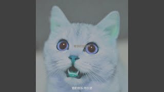 温和放松的猫梦想