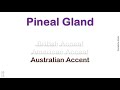 Pineal Gland   How to Pronounce Pineal Gland in Australian Accent, British Accent, American Accent ?