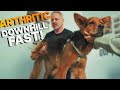 Aging & Arthritic Dog 