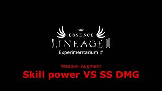 [EU] L2 Essence, SkillPower VS Soulshot DMG