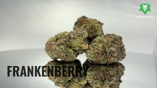 Chronic Haze - Frankenberry