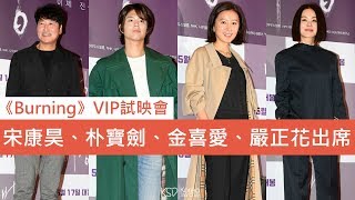 《Burning》VIP試映會：宋康昊、朴寶劍、金喜愛、嚴正花等亮相出席