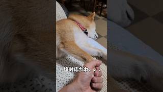 塩対応のアイドル犬 \