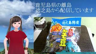 【お昼の練習配信】金見の「ぶるぅーめぇーる」さんのからあげ弁当を食べます