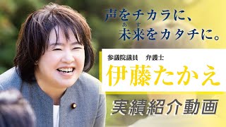 兵庫の被災からの奮起 トコトン一人に寄り添う 兵庫選挙区 参議院議員 伊藤たかえを紹介 声をチカラに 未来をカタチに。