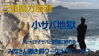 三重県方座浦磯釣り　サバ地獄