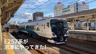 E257系が沼津にやってきた！ E257系2500番台沼津運輸区乗務員訓練