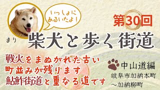 柴犬と歩く街道　中山道　岐阜市加納本町～加納柳町