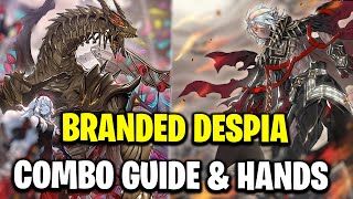 Branded Despia Combo Guide \u0026 Test Hands POST Terminal Revenge (Play Through Every Hand Trap!)