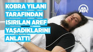 Kobra yılanı tarafından ısırılan Aref yaşadıklarını anlattı