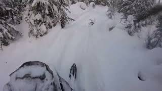 Dec 14/24 INTO THE TREE’S #stokes #Greystokes Got my #GoPro fixed #sledkelowna #getstoked