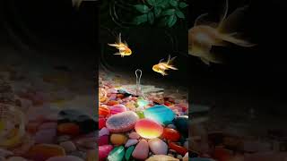 #goldfish #shorts #fishing #love #kannada #song #viral #million #views #1million #viralvideo