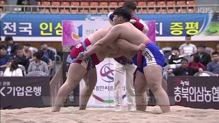 증평인삼배 전국장사 씨름대회 중학교부 개인전 결승 하이라이트 20180419