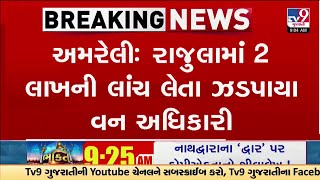 Amreli: રાજુલામાં 2 લાખની લાંચ લેતા ઝડપાયા વન અધિકારી, ક્રોન્ટ્રાક્ટરનાં બિલ પાસ કરવા માગી હતી લાંચ