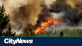 B.C. seeing worst wildfire season on record