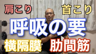 呼吸筋の要”横隔膜“と“肋間筋”をほぐして深い呼吸を手に入れる！【浜松市　呼吸×体幹パーソナルトレーナー】