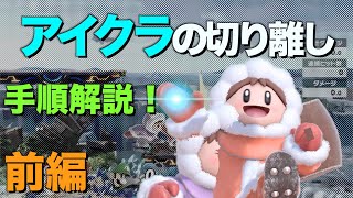 【スマブラSP】アイスクライマー実戦で使う切り離し解説。前編