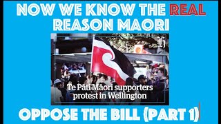 Now We Know The Real Reason Maori Oppose The Bill