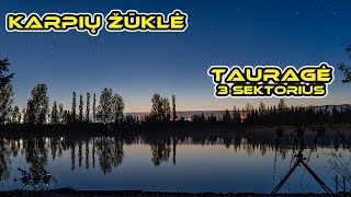 Karpių žvejyba. Tauragės tv. - 3 sektorius. (Carp Fishing @ Taurage)