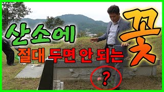 산소를 명당으로!! 터의 기운과 수맥 차단 (지구자전파장) 묫자리를 떠난 부모님을 모셨습니다 [지구수맥]