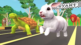 खरगोश और कछुए की कहानी Rabbit and Tortoise 3D Hindi Kahaniya - New Cartoon Hindi Stories