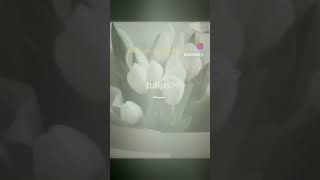 I have something for you✨#tulips #aesthetic #vairalshort #video 🦋🦋