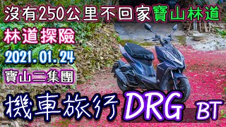 寶山不只有櫻花公園! 荖濃溪林道探險~沒有250公里不回家! | 機車旅行Scooter travel | DRG | 櫻花 | 櫻花地毯 | 茶園 | 秘境美景 | 林道Forest-road