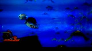 Exit buddy - Finding Nemo