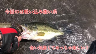 河口湖バス釣り〜7月22日ロイヤルワンド昼前編放流3日目！【河口湖バス釣り】