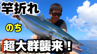 波乱に満ちた宮古島伊良部島の磯釣り～新発売DAISOの60gジグもテスト～