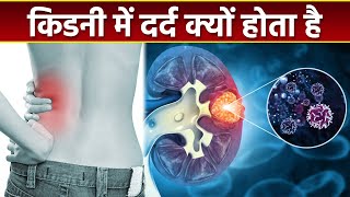 किडनी में दर्द क्यों होता है , किडनी में दर्द होने का कारण | Boldsky *Health