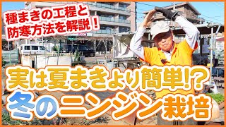 家庭菜園や農園で冬に開始！人参栽培の種まきポイントを徹底解説！防寒で以外に簡単な育て方をご紹介！【農園ライフ】