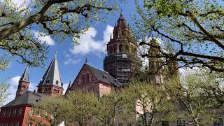 Mainz - Frühling am Höfchen mit Blick auf den Dom