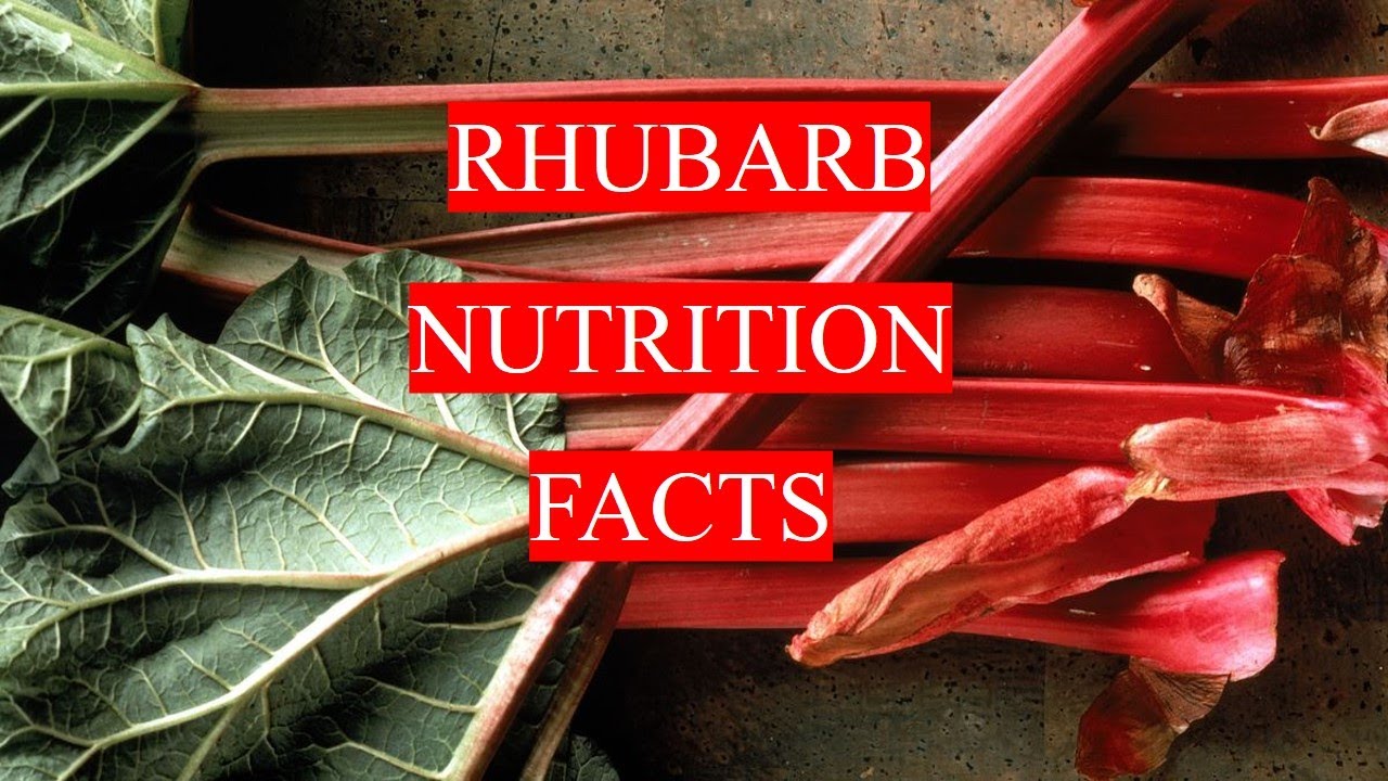 RHUBARB VEGETABLE - HEALTH BENEFITS AND NUTRITION FACTS - YouTube