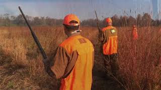 Pheasant Hunting at Meadowview Preserve Salem, NJ