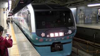 251系RE‐4編成（河津桜トレイン） 「特急スーパービュー踊り子8号」返却回送 東京発車