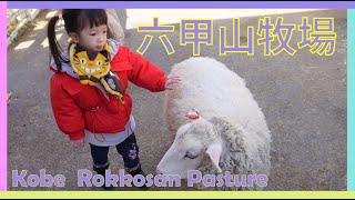 自驾去神户 Kobe  Rokkosan Pasture 六甲山牧場 - 超美的风景和可爱的绵羊 - 近距离接触绵羊 - 爱上这个地方 (完整版）