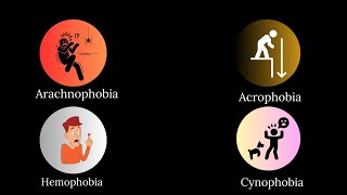 Every Type Of Phobia Explained in 8 Minutes