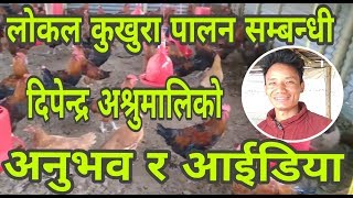 लाेकल कुखुरा पालन सम्वन्धी दिपेन्द्र अश्रुमालिकाे अनुभवर अाईडिया/Tuwachung.com