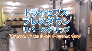 トライセプスプレスダウン-リバースグリップ（Triceps Press Down Reverse Grip）のやり方と基本フォーム