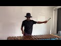 Kelvin Momo – Impilo (fea.t Kabza De Small & Mhaw Keys, Babalwa M & Kopzz) MARIMBA COVER.