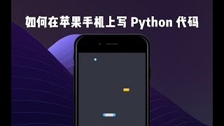 如何在 iPhone 上写 Python 代码