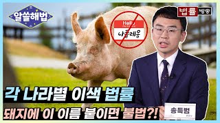 [알쓸해법] 돼지에 이 이름 붙이면 불법?!