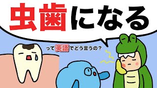 虫歯になるって英語で言える？歯にまつわる英語の表現 [#362]